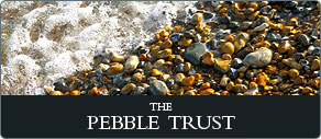 pebble